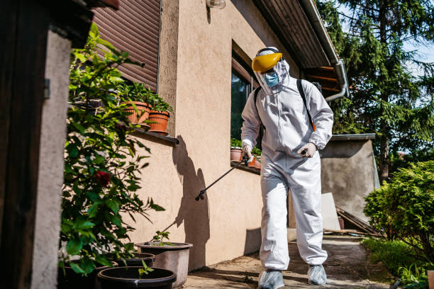 Trusted Portales, NM Pest Control Experts