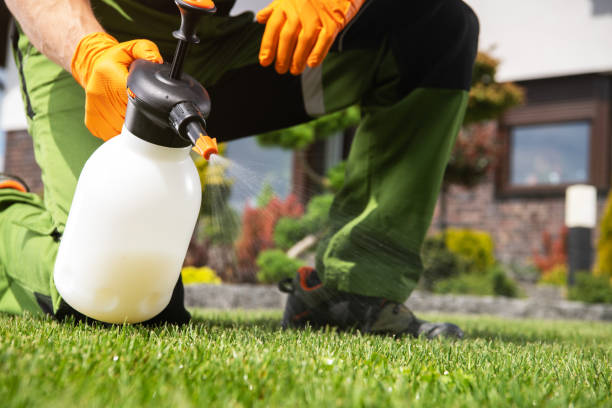 Best Best Pest Control Companies  in Portales, NM