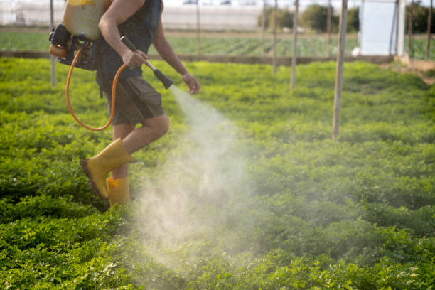 Best Affordable Pest Control Services  in Portales, NM