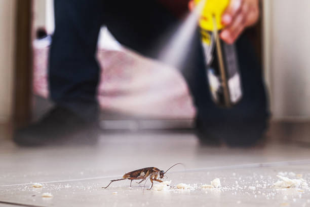 Best Pest Prevention Services  in Portales, NM