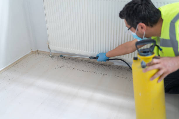 Best Commercial Pest Control Services  in Portales, NM