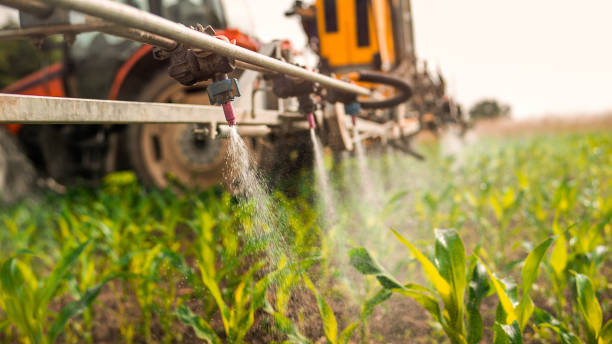 Best Mosquito Control Services  in Portales, NM